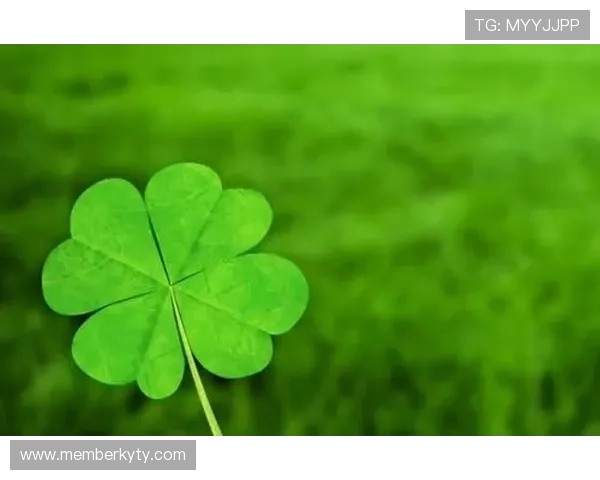 开运开户助你财运旺盛，开启人生新辉煌的必备之选