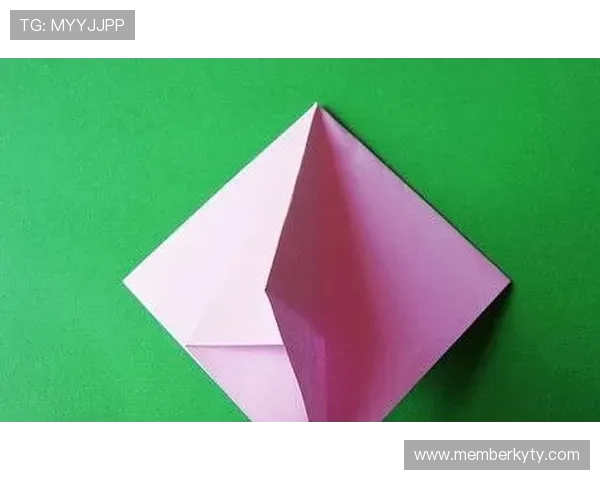 深入了解兴发真人的运营模式：无缝连接用户与游戏平台