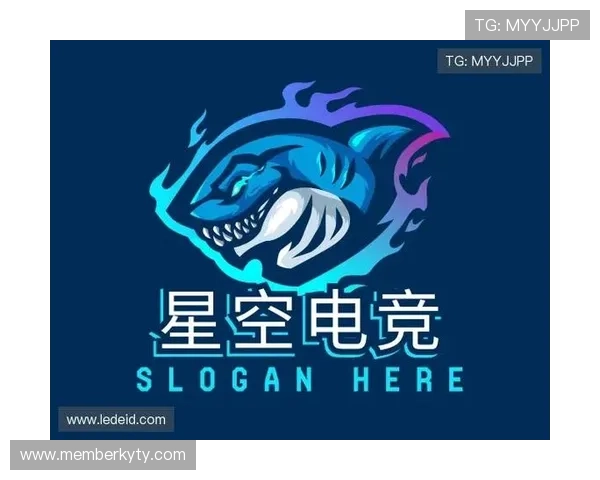 星空电竞平台的安全保障措施与用户隐私保护策略详尽分析